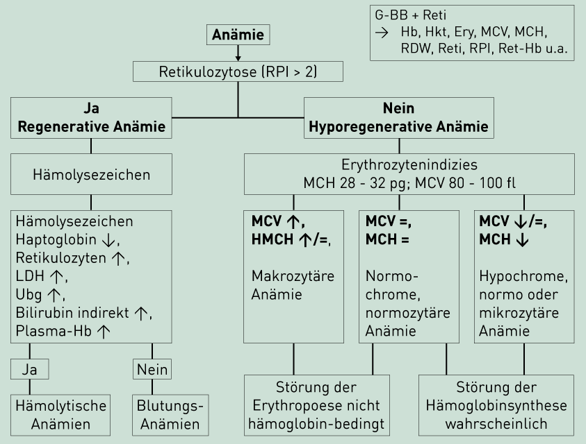 Anamie klassifikation, Sinonimele și antonimele Panmyelopathie în dicționarul de sinonime Germană